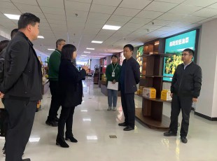 州農(nóng)投集團(tuán)在水發(fā)農(nóng)投通道物流公司、河州力量公司調(diào)研